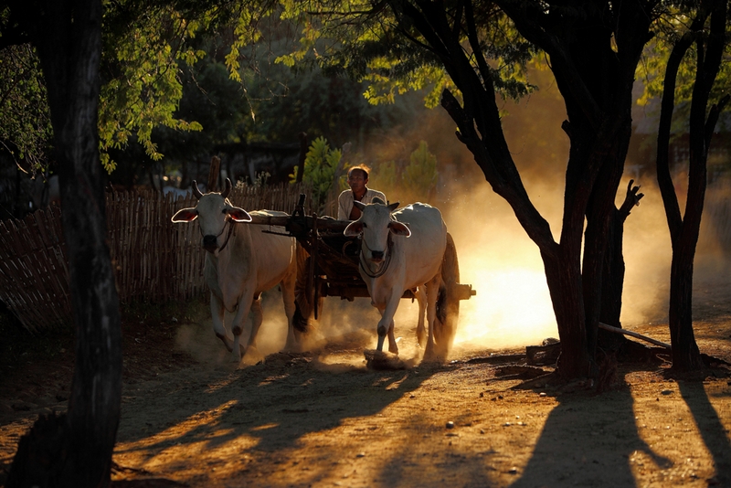 676 - GOING HOME - LIM CHEE KEONG - malaysia.jpg